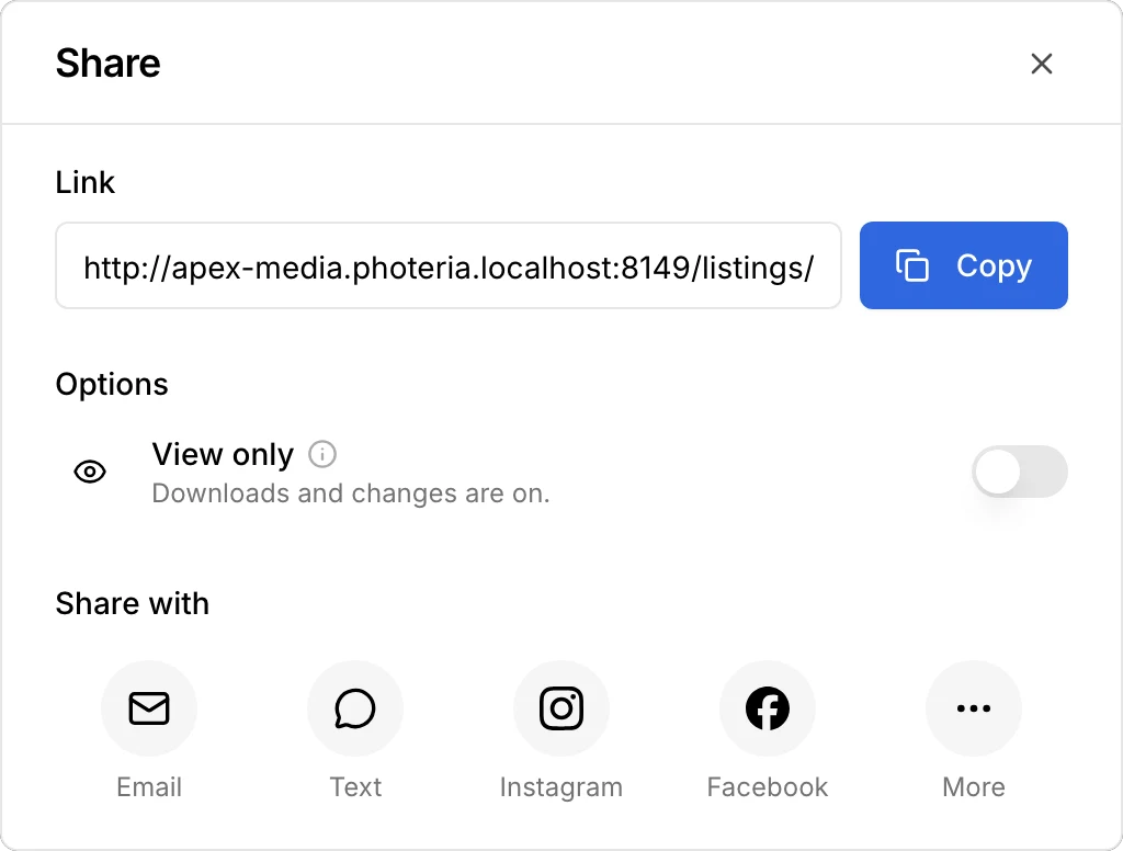 Share: a link to copy, a view-only option, and sharing by email, text, Instagram, or Facebook